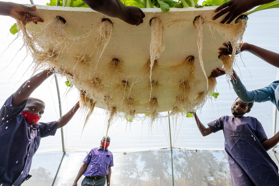 students and adults holding up hydroponic planter